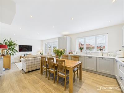 Kitchen / Living Area